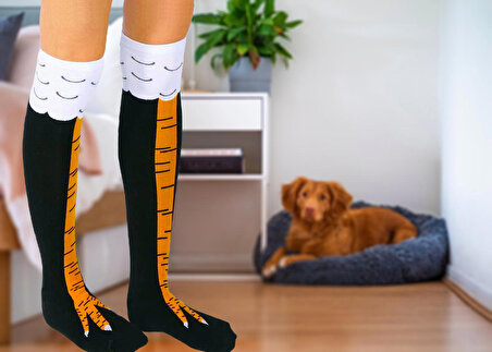 Kadın Çorap Uzun Corap Kadın Renkli Dizaltı Desenli Çoraplar