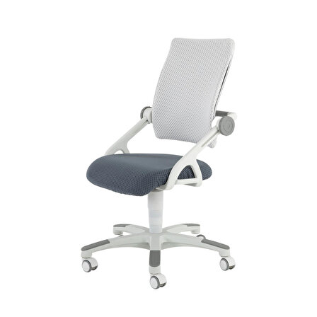 Creo Mobili Sirius Derinlik ve Yükseklik Ayarlı Çalışma Sandalyesi - Antrasit/Beyaz