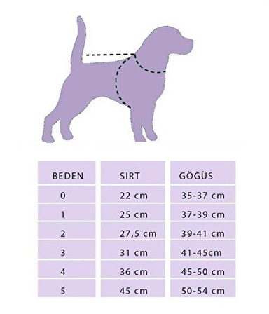 Alphadog Pale Pink Polarlı Küçük Irk Köpek Sweatshirtü
