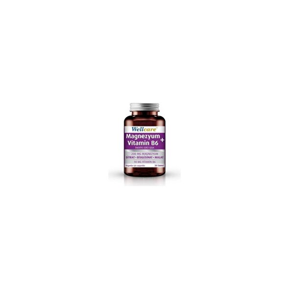 Wellcare Magnezyum+Vitamin B6 Takviye Edici Gıda 30 Tablet