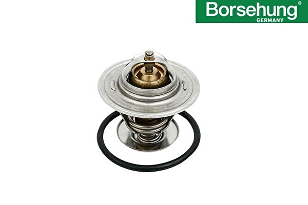 Volkswagen Radyatör Ekipmanları