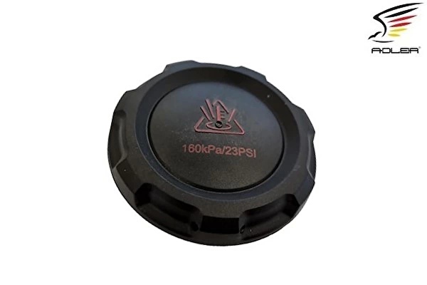 Volkswagen Termostat