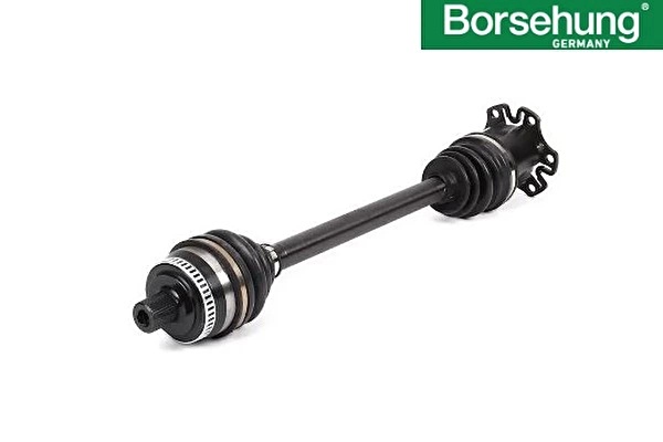 VAG Aks Körük & Kafası