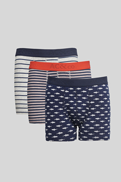 AC&Co / Altınyıldız Classics Erkek Boxer, Slip, Külot